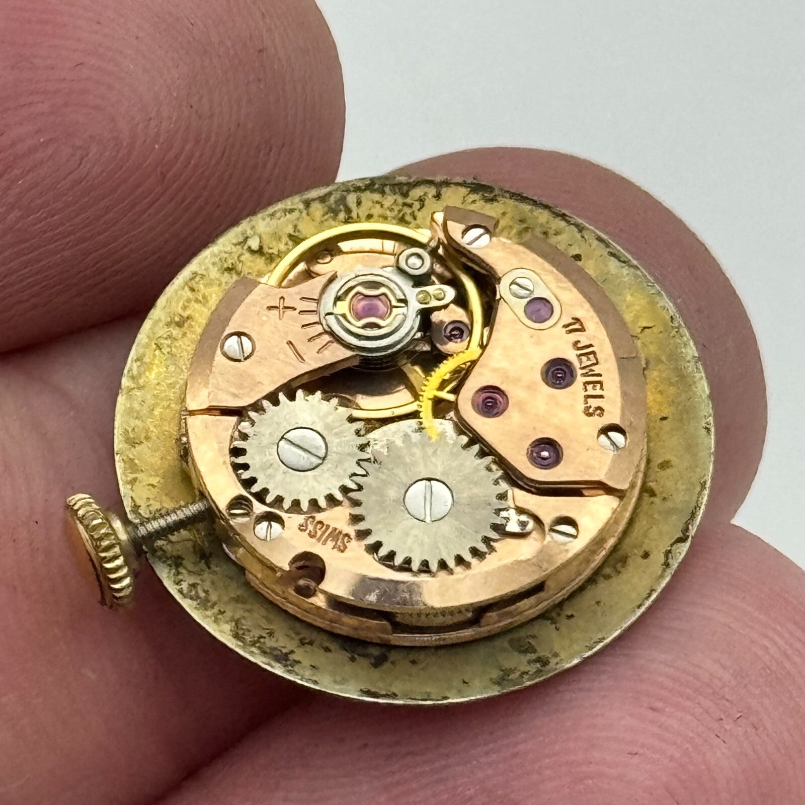 19.7mm Running Waltham ETA 2412 Ladies Manual Wind Swiss Watch Movement PARTS