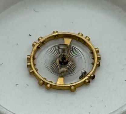 AS 976 1012 Balance Wheel Complete And Spring 29 M Watch Movement Parts NOS 