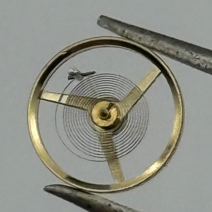 AS 1977-2 Balance Wheel Complete And Spring  1831 M Watch Movement Parts NOS