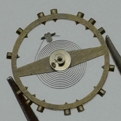 AS 984 Balance Wheel Complete And Spring 31 M Watch Movement Parts NOS