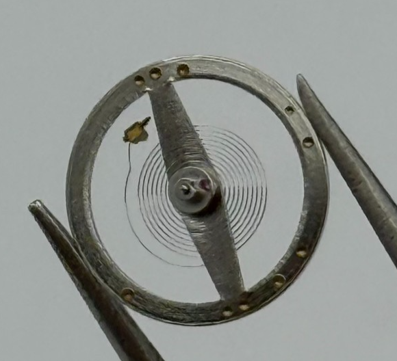 RL RAX 1013 1237 Balance Wheel Complete And Spring 1679 M Watch Movement Parts