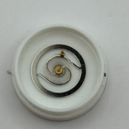 EB 8800 Balance Wheel Complete And Spring 12’’’ 1309 Watch Movement Parts NOS