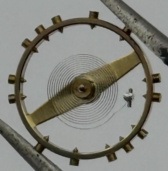 AS 984 Balance Wheel Complete And Spring 81 M Watch Movement Parts NOS