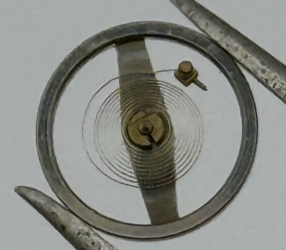 Brac 2021 Balance Wheel Complete And Spring  5¼’’’ 69 M Watch Movement Parts 