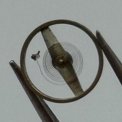 ST 69 Balance Wheel Complete And Spring 6 1/4–8’’’ 1155 Watch Movement Parts NOS