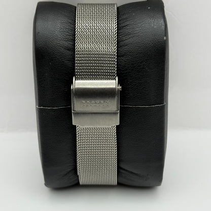 Skagen Denmark Ladies Quartz Watch Titanium Mesh Band Japan 21mm PARTS REPAIR