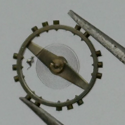 Derby 40 Balance Wheel Complete And Spring 8 3/4’’’ 102 M Watch Movement Parts