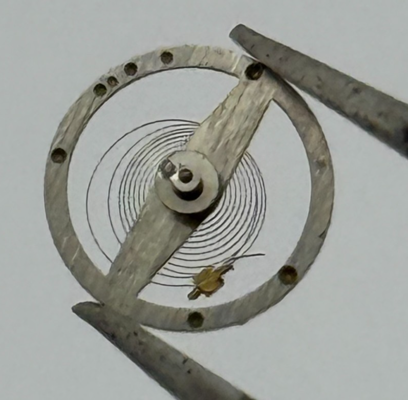 Brac 2021 2051 Balance Wheel Complete And Spring 69 M Watch Movement Parts NOS