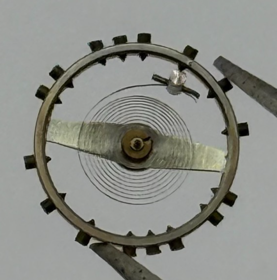 AS 1240 Balance Wheel Complete And Spring 8 3/4''' 49 M Watch Movement Parts NOS