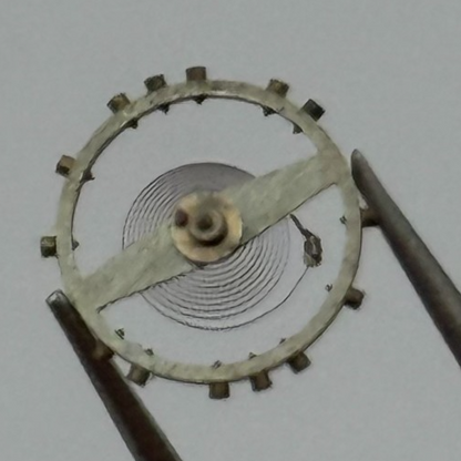 AV 41 Balance Wheel Complete And Spring 5 1/4’’’ Renata Watch Movement Parts NOS