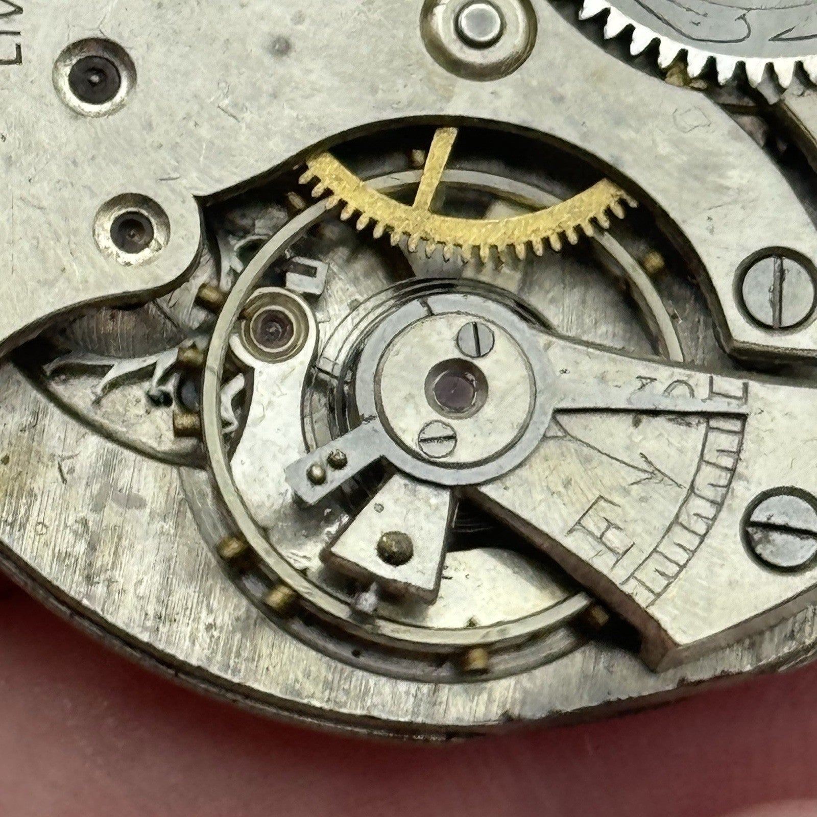 41.7mm Thomas Russell & Son Tempus Fugit Hunter Pocket Watch Movement PARTS