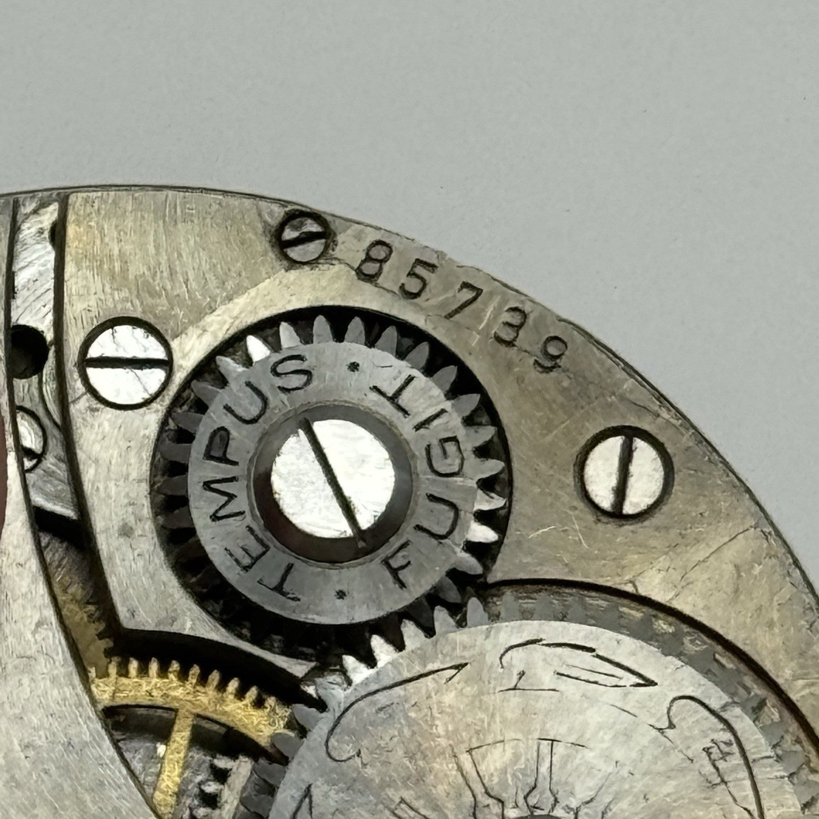 41.7mm Thomas Russell & Son Tempus Fugit Hunter Pocket Watch Movement PARTS